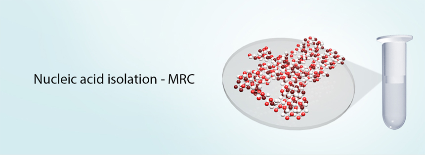 Nucleic acid isolation - MRC